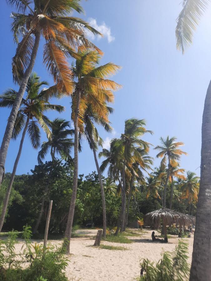 Virgin Islands Campground Water Island Zewnętrze zdjęcie